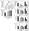 Comparative effects of vehicle, aspirin, and solCD39 on the various outcome