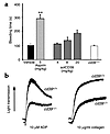 Role of the cd39 gene, aspirin, and solCD39 in platelet function. (a) Bleed