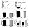 Comparison of stroke outcomes in cd39+/+ control (C57BL/6J × 129/J F1) mice