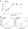 Time kinetics of CFU-F and CFU-OB production by murine bone marrow cells cu