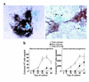 The time kinetics of colony development and osteoblast differentiation from