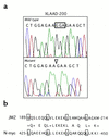 Identification of a 3-bp deletion in exon 7 of affected XLAAD-200 individua