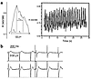 Functional analysis of contracting area within the EBs. (a) Calcium transie