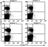 Human peripheral blood–derived NK cell lines do not stain for CD28. Human P