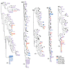 ML phylogenetic trees of SGS-derived gp160 env sequences from pre-ART plasm