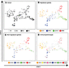 Supervised dimensionality reduction maps lineage commitment of CD34+ cells