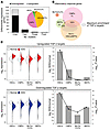 TGF-β signaling is selectively activated in SDS stem and multipotent progen