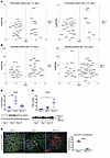 Transcription factors and secreted proteins identified during translational