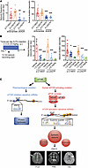 Pharmacological or genetic inhibition of ADK alleviates intractable epileps