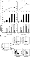 Myeloid cell production from cord blood CD34+ cells under stimulation with