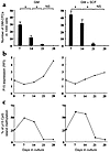 Time course of GM precursor number, intracellular p15 expression, and methy