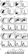 Intracellular p15 expression of leukemic cell lines, cord blood CD34+ cells