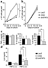 Effects of dnSTAT3 and CIS3 overexpression on proliferation and cytokine se