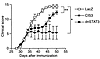 Effect of CIS3 adenovirus on established arthritis. Viruses were administer