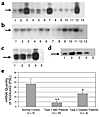 PBMC and CD4–CD8– DN T cells from patients and normal controls were examine