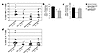 Defective Th1 cytokine production in IMD patients at various stages of the