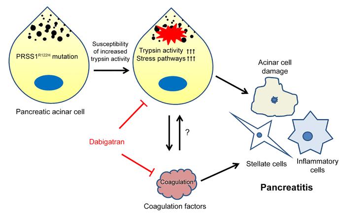 graphical abstract