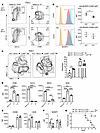 IL-33 targets intragraft myeloid cells to prevent rejection by upregulating