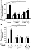 Effect of NADPH oxidase deficiency (p47phox–/–) and treatment with tetrahyd