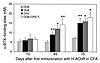 Reduced anti-AChR IgG response in DQ6 mice compared with DQ8, DR3, and DQ8×