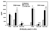 Effect of anti-DR or -DQ Ab on in vitro AChR- and α320-337 peptide–specific