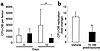 (a) Quantification of CFU-OB formed in bone marrow taken from animals sacri