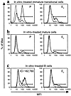 IgM-mediated apoptosis in E2-treated splenic B cells. Levels of activated c