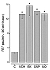 Comparison of the maximal dilator effects of endogenous and exogenous NO in