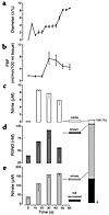 Dilator response to aqueous NO in conduit (a) and resistance (b) arteries a