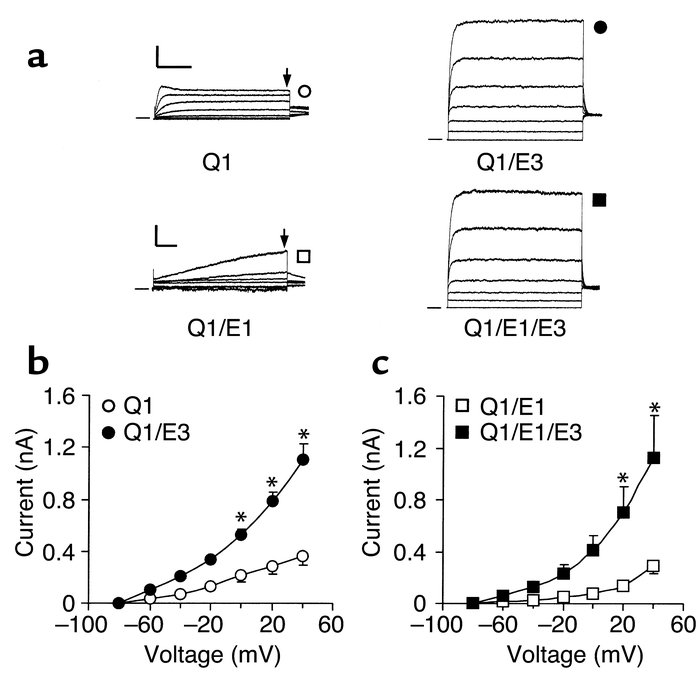 KCNQ1-KCNE3 coexpression in CHO cells. (a) Original current traces of KC...