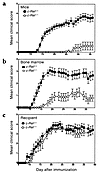 c-Rel expressed by the immune system but not the CNS is required for the de