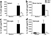 IL-12 p40 production by normal and c-Rel–deficient cells. DC-enriched APCs