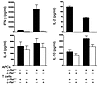 c-Rel expressed both by T cells and by APCs is required for the development