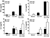 Selective blockade of IFN-γ production in c-Rel–deficient T cells. Normal a