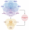 Interactions of biological aging processes with CNS changes.