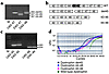 Analysis of dystrophin transcripts expressed in DMD-BMT1’s muscle. (a) U43–