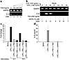 Downregulation of IL-6 transcript and protein levels by TSA and SAHA. (a) I