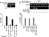 Downregulation of IL-10 transcript and protein levels by TSA and SAHA. (a)