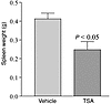 Spleen weights of MRL-lpr/lpr mice receiving daily injections of either TSA