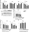 RT-PCR analysis of gene expression. (a) The densitometric quantification of