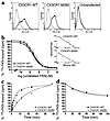 CX3CR1-M280 binds FKN with delayed kinetics. (a) Receptor expression on tra