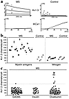 Myelin antigen–activated T cells from MS patients express the distinctive K