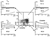 The Kv1.3highIKCa1low phenotype is also found in activated CD8+ effector me