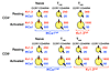 Diagram of average Kv1.3 and IKCa1 channel numbers per cell in the three CD