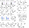 Diminished IL-4 in the NOD thymus parallels with a lower frequency of iNKT