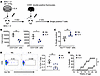 Intrathymic IL-4 tightens T cell negative selection and delays the onset of