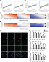 Nicotinamide and pyridoxine associate with muscle mass and function in aged