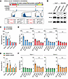 LIN28B regulates RPS5 translation through direct mRNA binding.