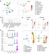 Mytho expression increases in muscle during aging.