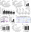 Adoptive PD-1–deficient T cell transfer restores Aldo-salt–induced aortopat